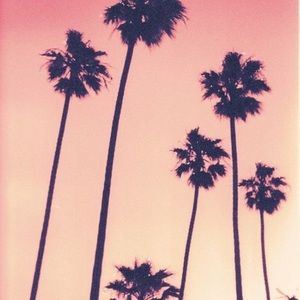 Meet your Posher, Lana